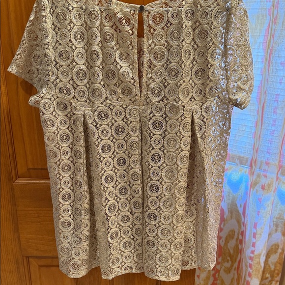 Anthropologie Chic Lace Blouse in Taupe with Metallic Thread - Picture 4 of 5